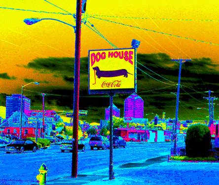 Albuquerque's famous Dog House (Courtesy of Sarah Rose)