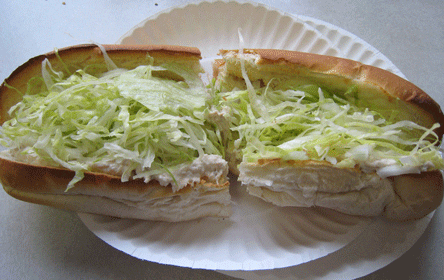 The best tuna sub in the universe and beyond