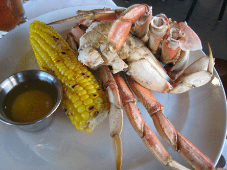 Desert Fish – Albuquerque, New Mexico (CLOSED)