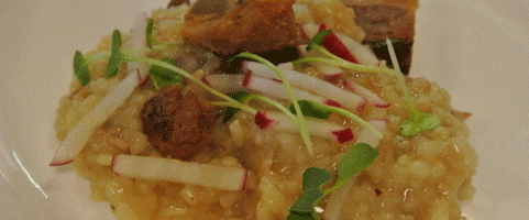 JENNIFER JAMES 101 – Albuquerque, New Mexico (CLOSED)