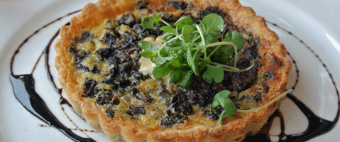 Cafe Chloe – San Diego, California (CLOSED)